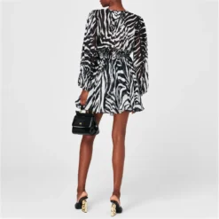 Zebra Print Mini Dress 9 Zebra Print Mini Dress -Deals Pristine Chic Store 65841103 xxl a2